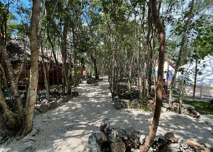 Hotel Bayou